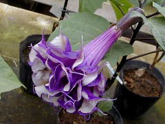 2003/09